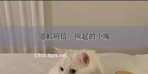 道歉短信：撅起的小嘴