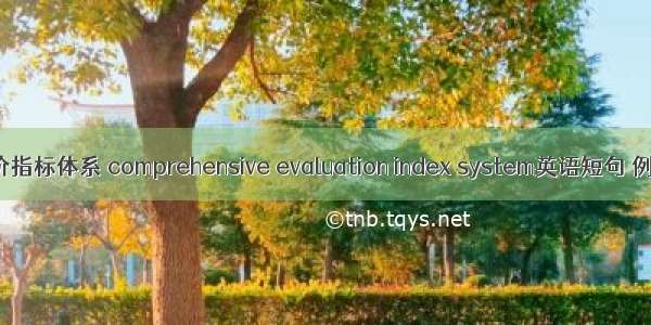 综合评价指标体系 comprehensive evaluation index system英语短句 例句大全