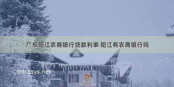 广东阳江农商银行贷款利率 阳江有农商银行吗