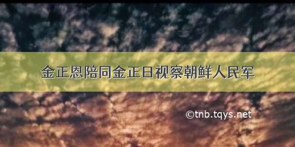 金正恩陪同金正日视察朝鲜人民军