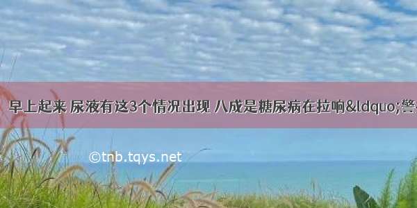 退休医生坦白说：早上起来 尿液有这3个情况出现 八成是糖尿病在拉响“警报器” 及