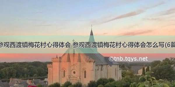 参观西渡镇梅花村心得体会 参观西渡镇梅花村心得体会怎么写(6篇)