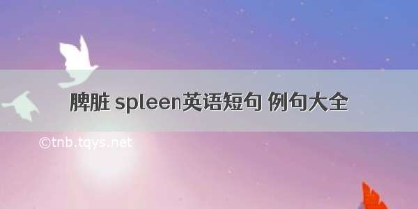 脾脏 spleen英语短句 例句大全