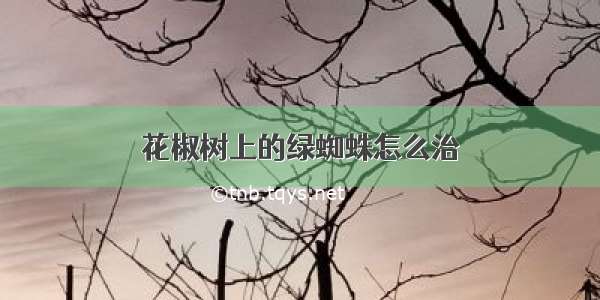 花椒树上的绿蜘蛛怎么治