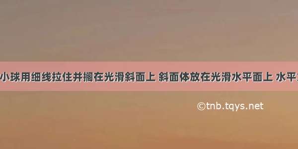 如图所示 小球用细线拉住并搁在光滑斜面上 斜面体放在光滑水平面上 水平力F作用在