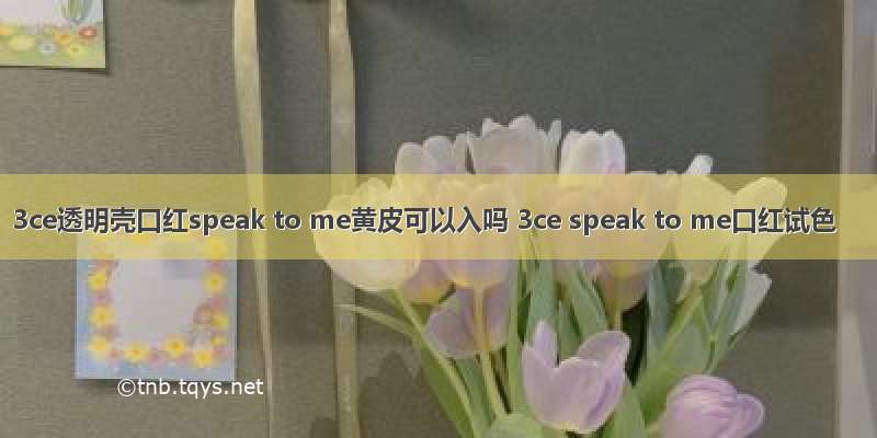 3ce透明壳口红speak to me黄皮可以入吗 3ce speak to me口红试色