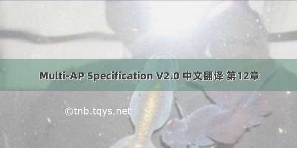 Multi-AP Specification V2.0 中文翻译 第12章