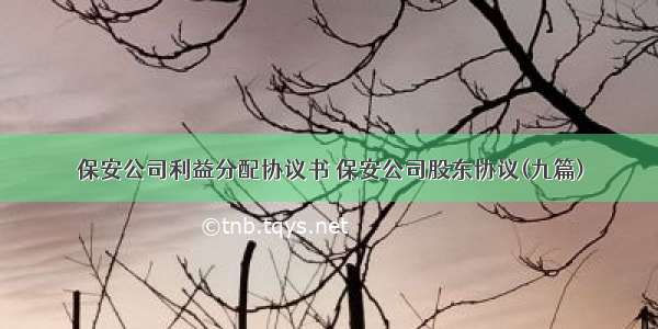 保安公司利益分配协议书 保安公司股东协议(九篇)