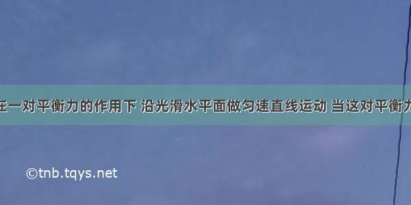 一个物体在一对平衡力的作用下 沿光滑水平面做匀速直线运动 当这对平衡力突然消失 