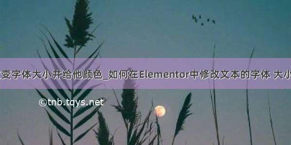 js点击按钮改变字体大小并给他颜色_如何在Elementor中修改文本的字体 大小 颜色 样式...