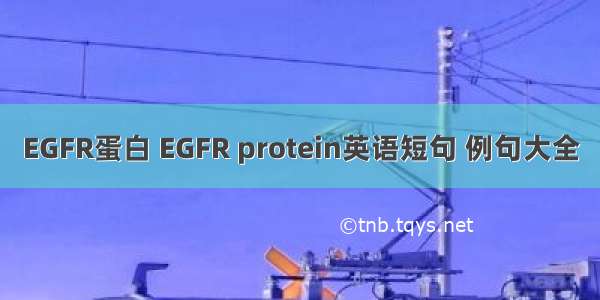 EGFR蛋白 EGFR protein英语短句 例句大全