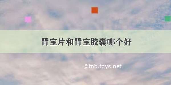 肾宝片和肾宝胶囊哪个好