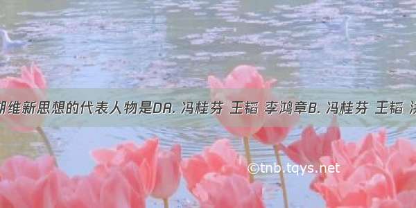 中国早期维新思想的代表人物是DA. 冯桂芬 王韬 李鸿章B. 冯桂芬 王韬 洪仁玕C.