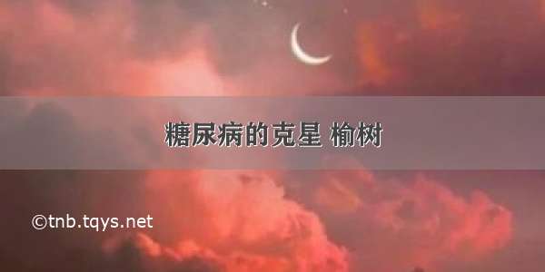 糖尿病的克星 榆树