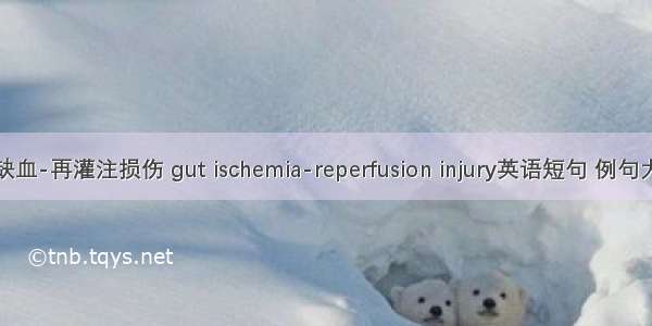 肠缺血-再灌注损伤 gut ischemia-reperfusion injury英语短句 例句大全