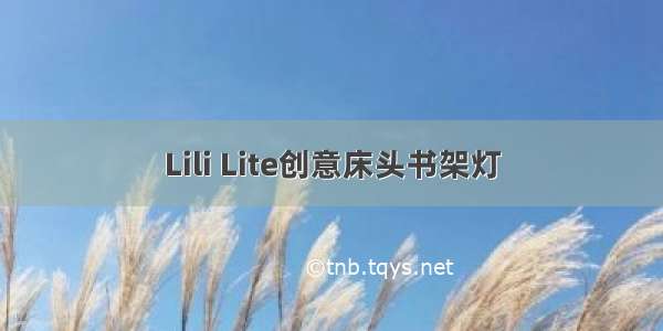 Lili Lite创意床头书架灯