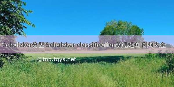 Schatzker分型 Schatzker classification英语短句 例句大全