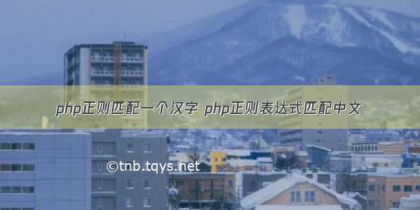 php正则匹配一个汉字 php正则表达式匹配中文