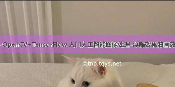 8- OpenCV+TensorFlow 入门人工智能图像处理-浮雕效果油画效果