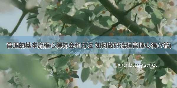 管理的基本流程心得体会和方法 如何做好流程管理心得(7篇)