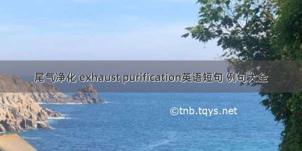 尾气净化 exhaust purification英语短句 例句大全