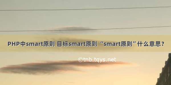 PHP中smart原则 目标smart原则 “smart原则”什么意思？