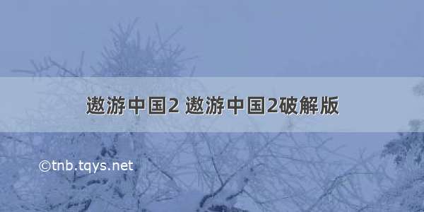 遨游中国2 遨游中国2破解版