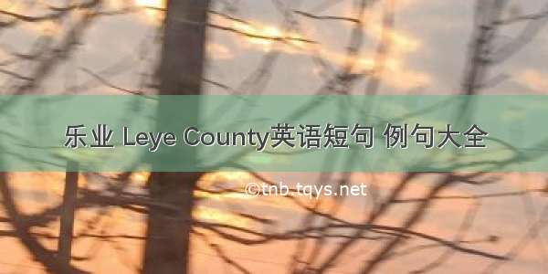 乐业 Leye County英语短句 例句大全