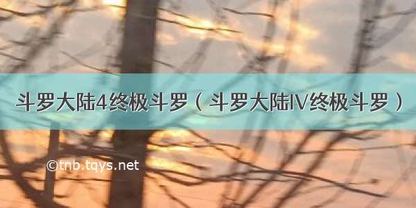 斗罗大陆4终极斗罗（斗罗大陆IV终极斗罗）