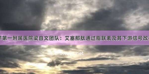 陆军军医大学第一附属医院梁自文团队：艾塞那肽通过脂联素及其下游信号改善糖尿病心肌