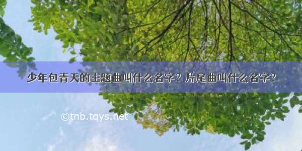 少年包青天的主题曲叫什么名字？片尾曲叫什么名字？