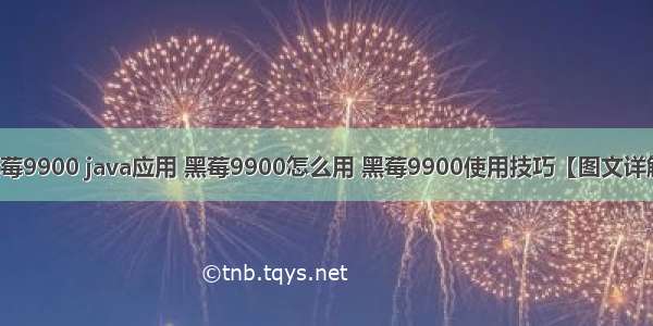 黑莓9900 java应用 黑莓9900怎么用 黑莓9900使用技巧【图文详解】