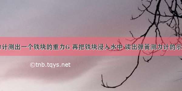 用弹簧测力计测出一个铁块的重力G 再把铁块浸入水中 读出弹簧测力计的示数为F 则铁