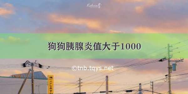 狗狗胰腺炎值大于1000