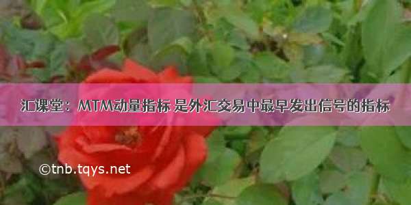 汇课堂：MTM动量指标 是外汇交易中最早发出信号的指标