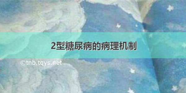 2型糖尿病的病理机制