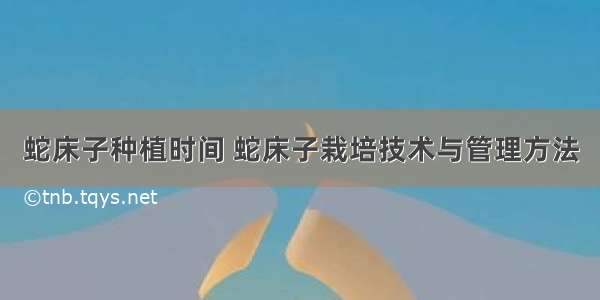 蛇床子种植时间 蛇床子栽培技术与管理方法