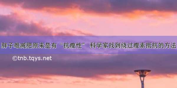 胖子难减肥原来是有“抗瘦性” 科学家找到绕过瘦素抵抗的方法