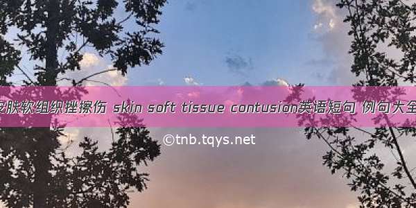 皮肤软组织挫擦伤 skin soft tissue contusion英语短句 例句大全