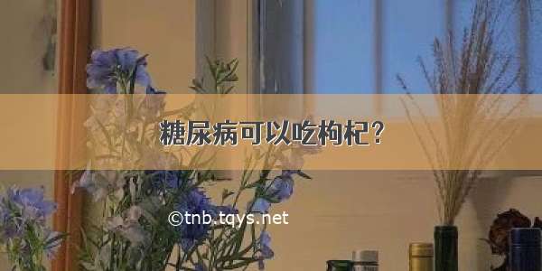 糖尿病可以吃枸杞？