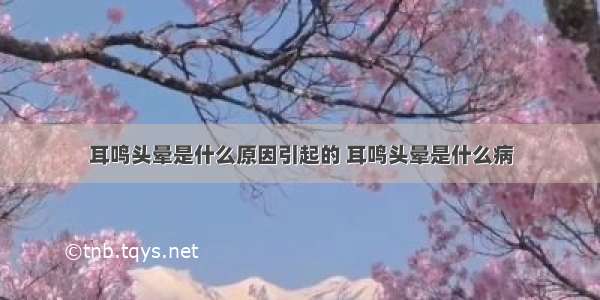 耳鸣头晕是什么原因引起的 耳鸣头晕是什么病