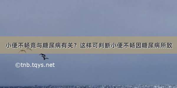 小便不畅竟与糖尿病有关？这样可判断小便不畅因糖尿病所致