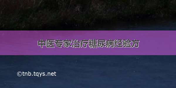 中医专家治疗糖尿病经验方