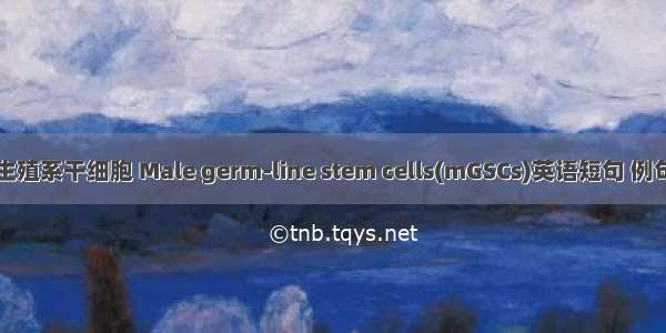 雄性生殖系干细胞 Male germ-line stem cells(mGSCs)英语短句 例句大全