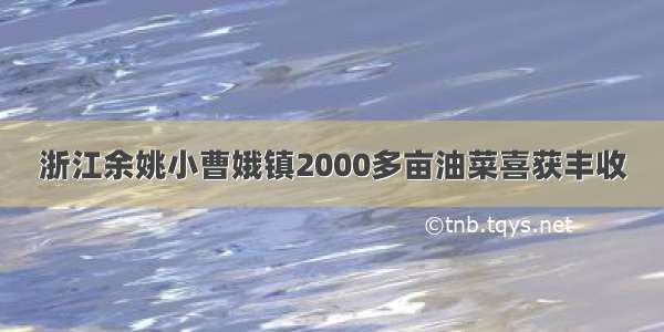 浙江余姚小曹娥镇2000多亩油菜喜获丰收