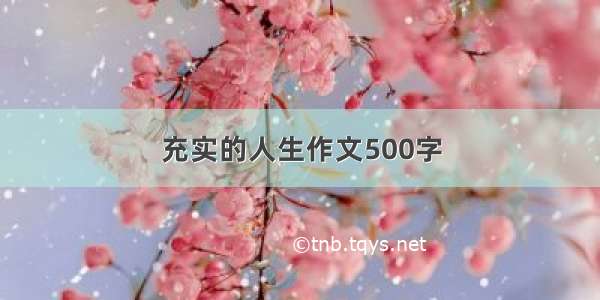 充实的人生作文500字