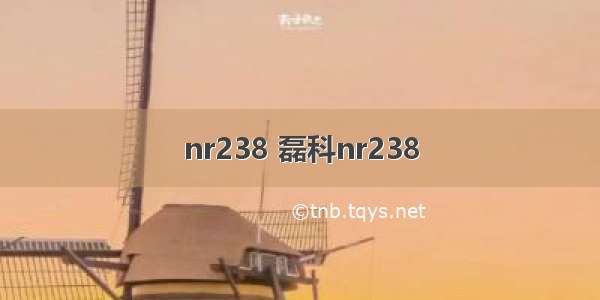 nr238 磊科nr238