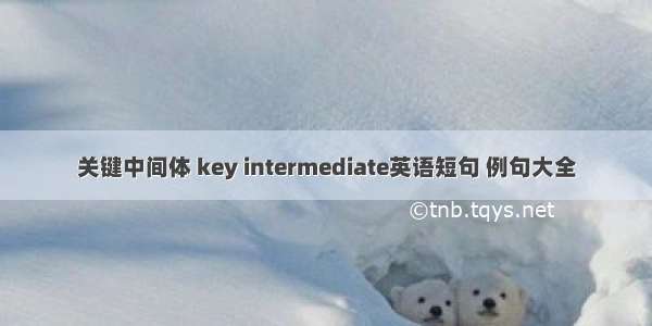 关键中间体 key intermediate英语短句 例句大全