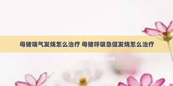 母猪喘气发烧怎么治疗 母猪呼吸急促发烧怎么治疗