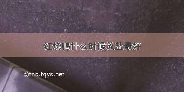 红烧鸭什么时候放盐最好